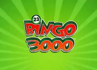 playdoit casino bingo 3000 08